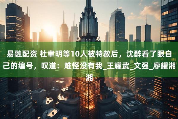 易融配资 杜聿明等10人被特赦后，沈醉看了眼自己的编号，叹道：难怪没有我_王耀武_文强_廖耀湘