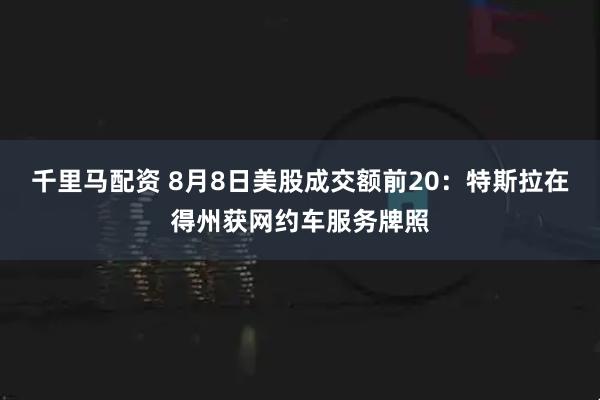千里马配资 8月8日美股成交额前20：特斯拉在得州获网约车服务牌照