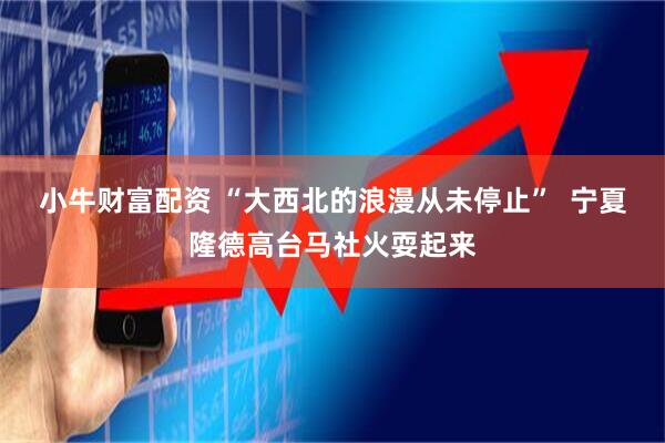 小牛财富配资 “大西北的浪漫从未停止”  宁夏隆德高台马社火耍起来