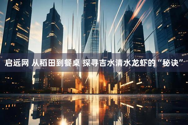 启远网 从稻田到餐桌 探寻吉水清水龙虾的“秘诀”