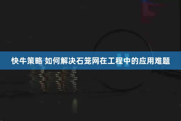 快牛策略 如何解决石笼网在工程中的应用难题